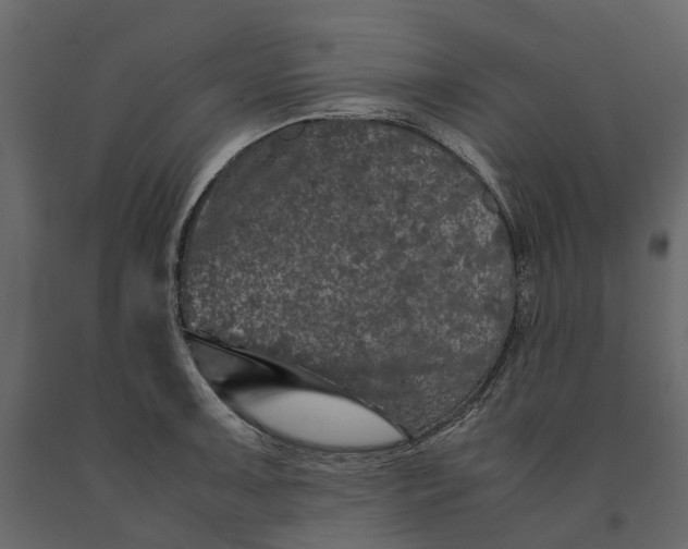 X0000091101091200708271311