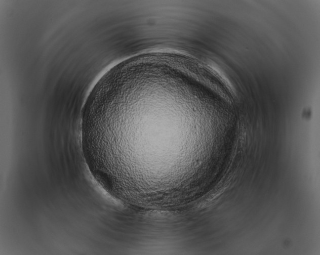 X0000091101092200708271311