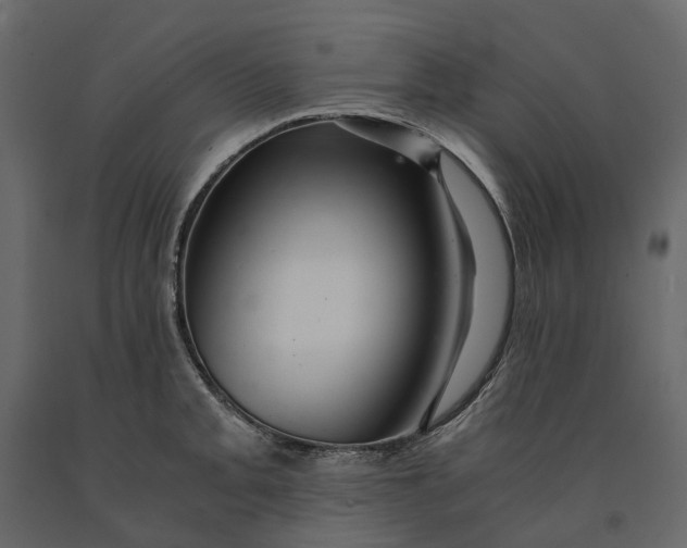 X0000091101093200708271311