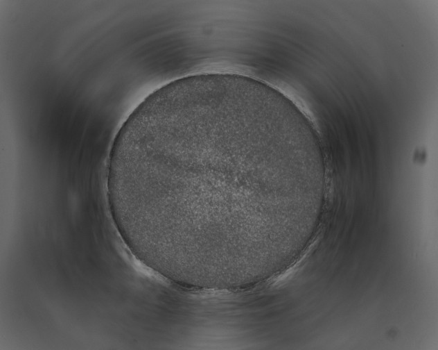 X0000091101094200708271311