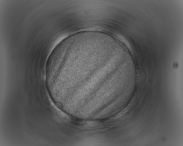 X0000091101095200708271311