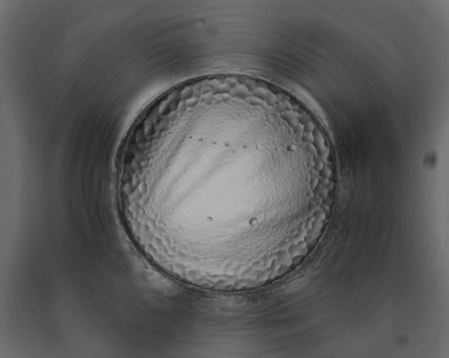 X0000091101096200708271311