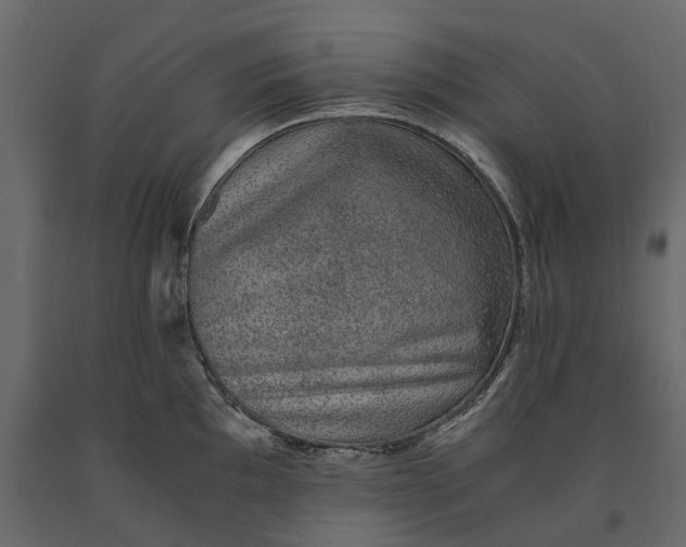 X0000091101097200708271311