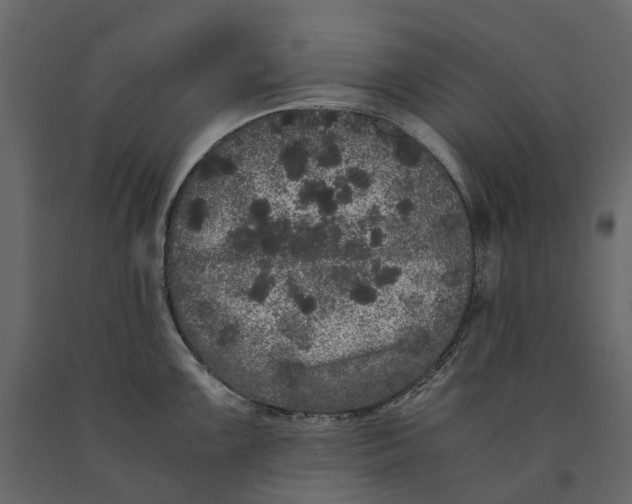 X0000091101099200708271311