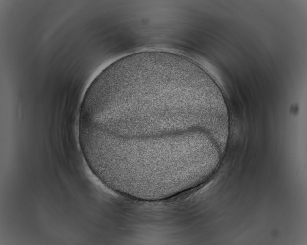 X0000091101100200708271311