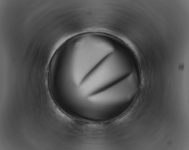 X0000091101102200708271311