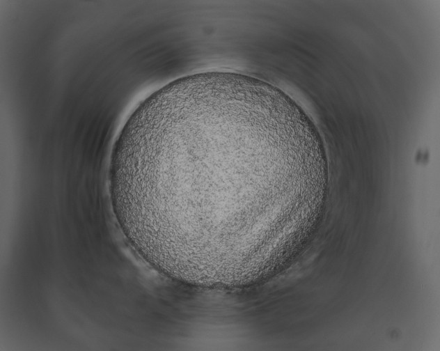 X0000091101104200708271311