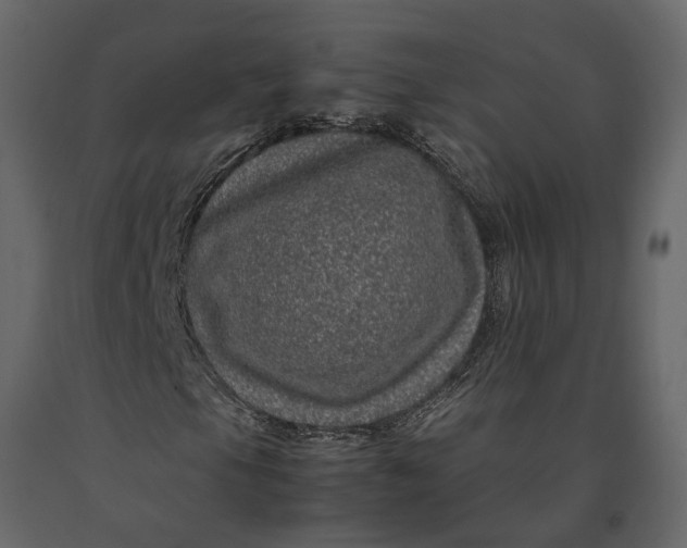 X0000091101105200708271311