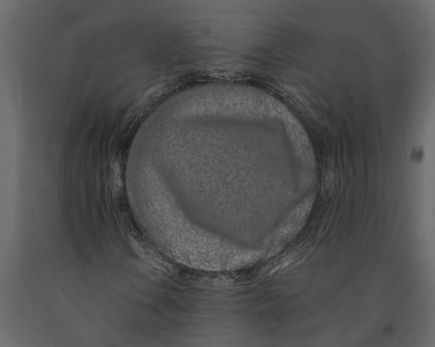 X0000091101106200708271311