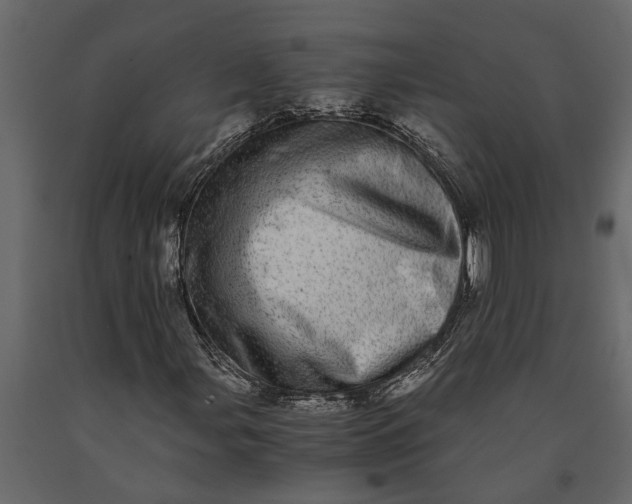 X0000091101107200708271311