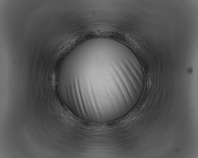 X0000091101108200708271311