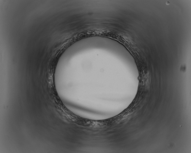 X0000091101109200708271311