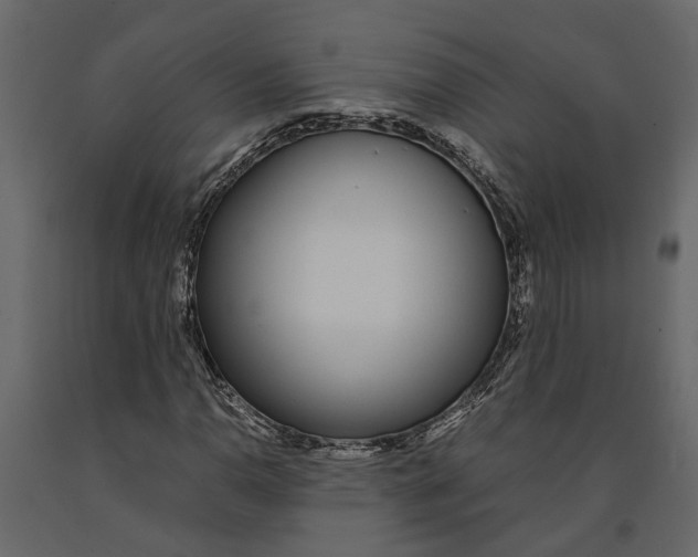 X0000091101110200708271311