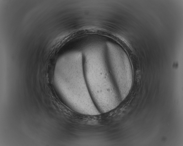 X0000091101111200708271311