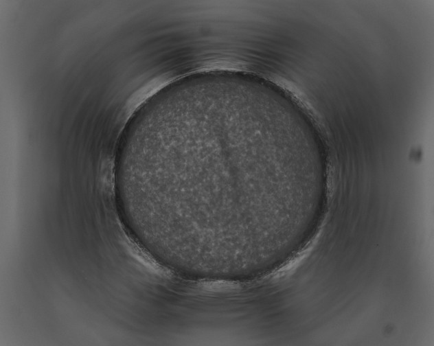 X0000091101113200708271311