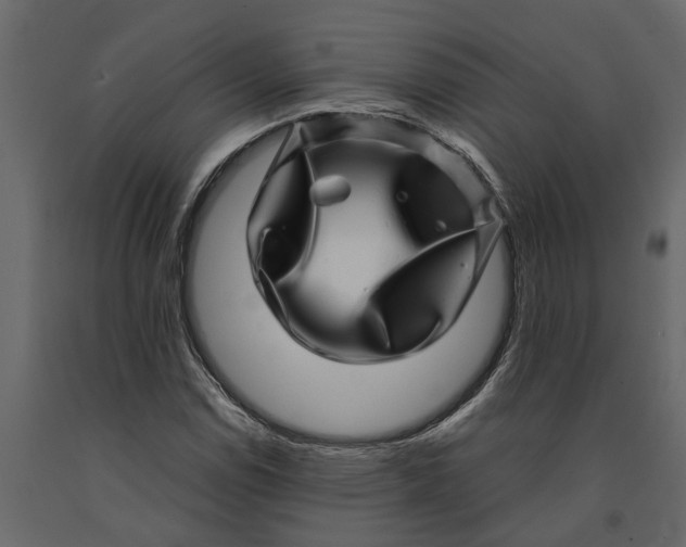 X0000091101114200708271311