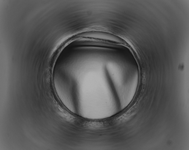 X0000091101115200708271311