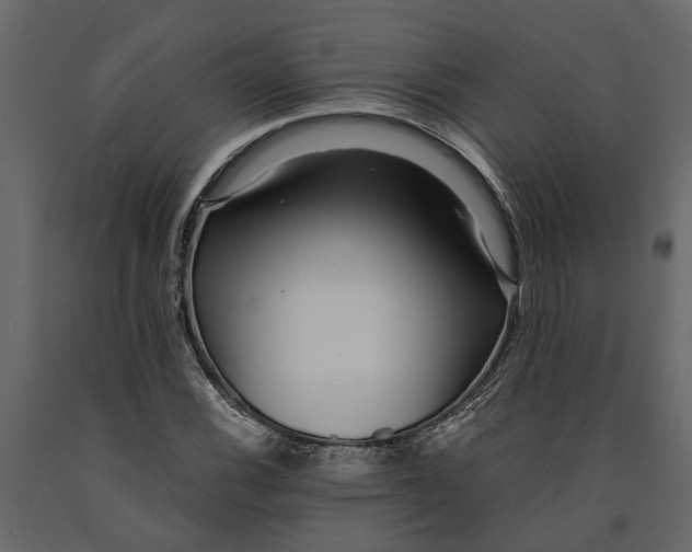 X0000091101116200708271311