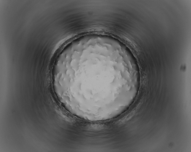 X0000091101117200708271311