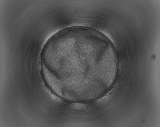 X0000091101119200708271311