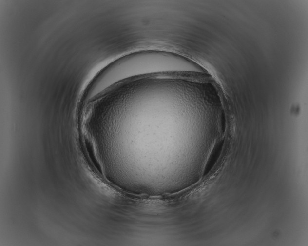 X0000091101120200708271311