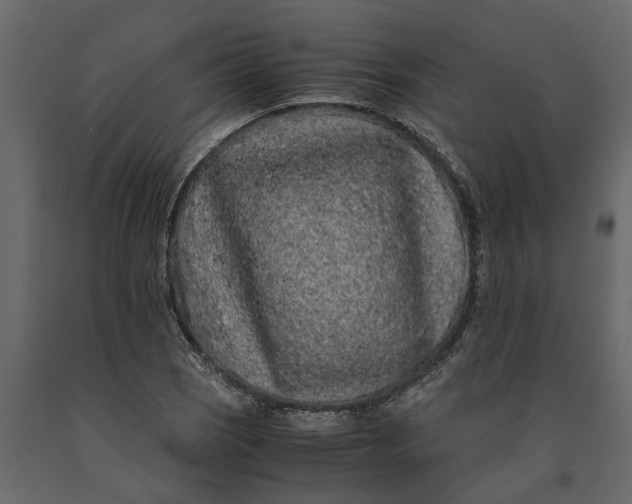 X0000091101121200708271311