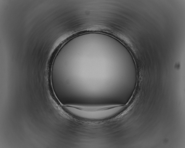 X0000091101122200708271311