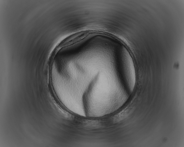 X0000091101123200708271311