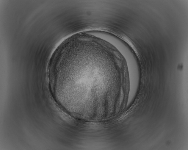 X0000091101124200708271311