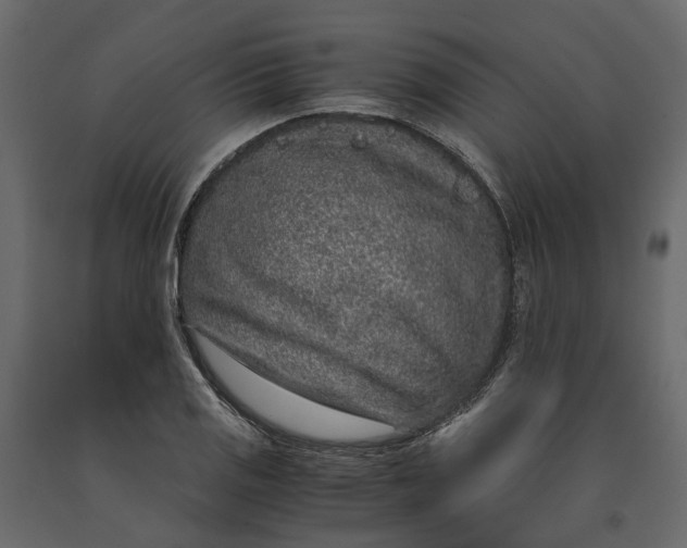 X0000091101125200708271311