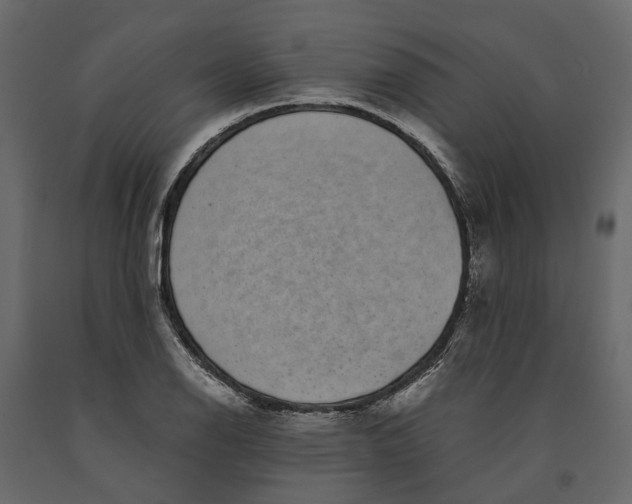 X0000091101126200708271311