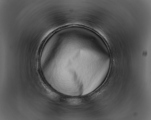 X0000091101127200708271311