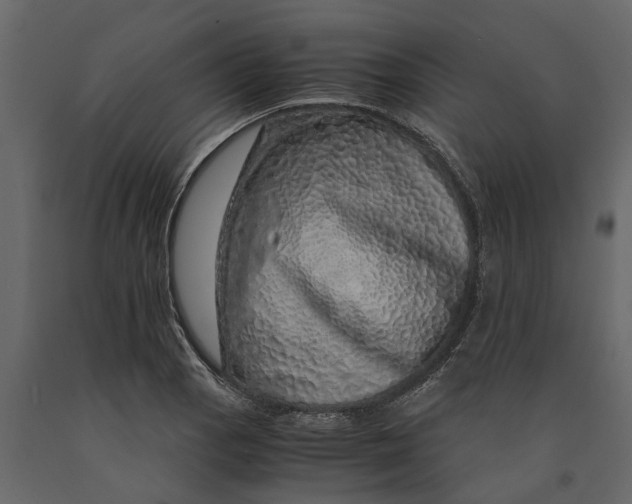 X0000091101129200708271311