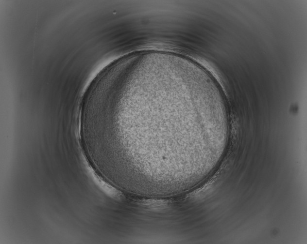 X0000091101131200708271311