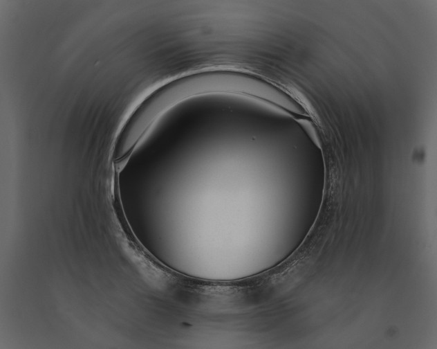 X0000091101132200708271311