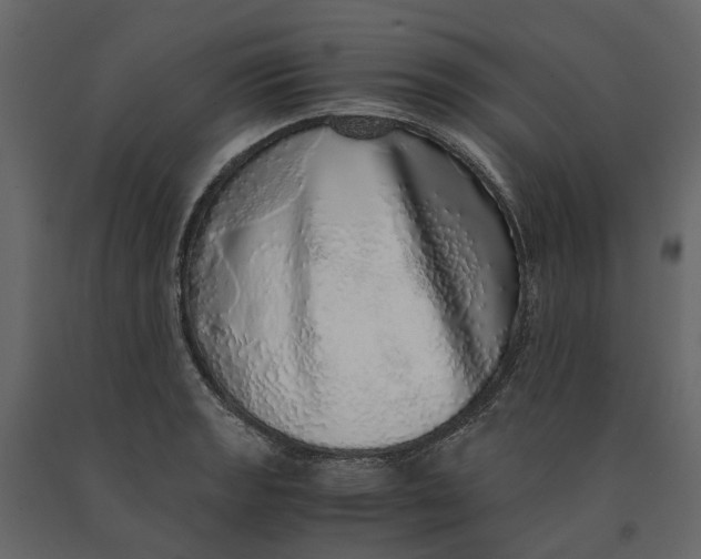 X0000091101133200708271311