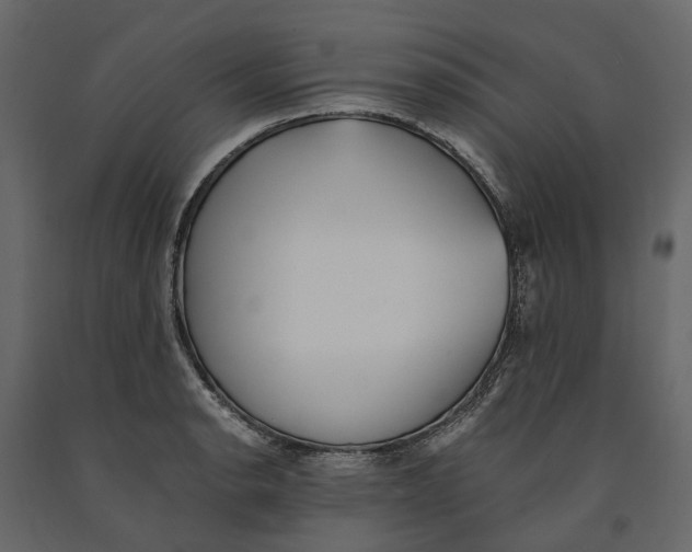 X0000091101134200708271311