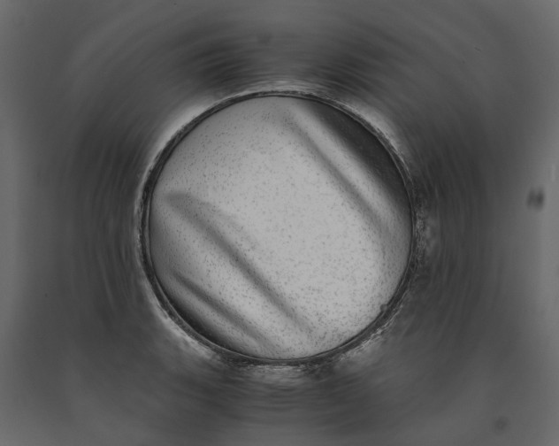 X0000091101135200708271311