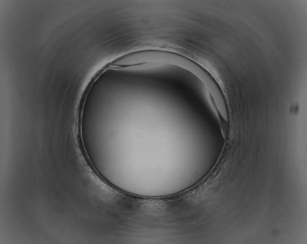 X0000091101136200708271311