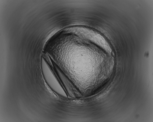 X0000091101137200708271311