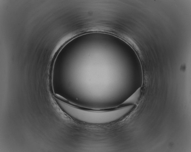 X0000091101138200708271311