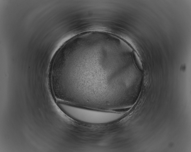 X0000091101139200708271311