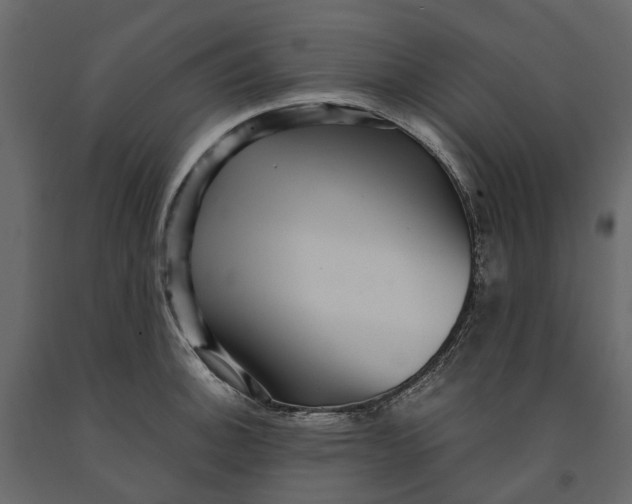 X0000091101140200708271311