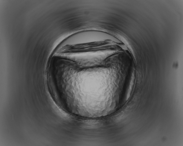 X0000091101141200708271311