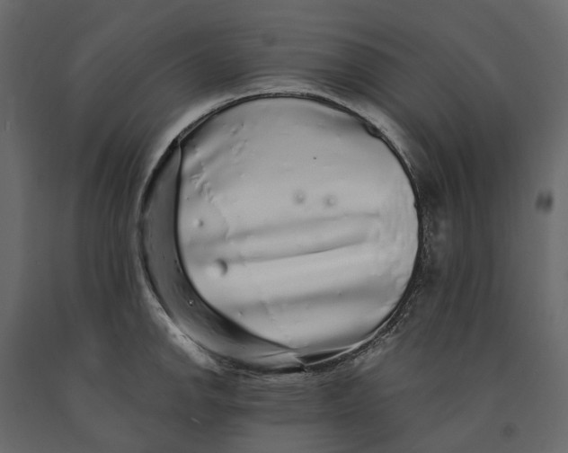 X0000091101142200708271311