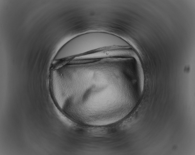 X0000091101143200708271311