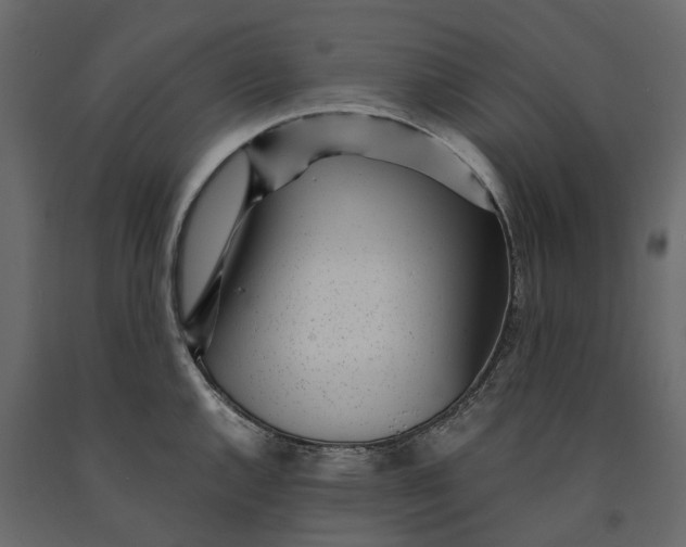 X0000091101144200708271311