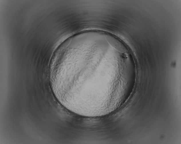 X0000091101145200708271311