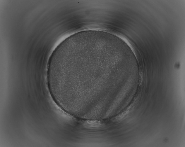 X0000091101147200708271311