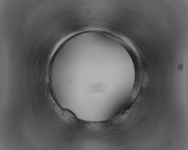 X0000091101148200708271311